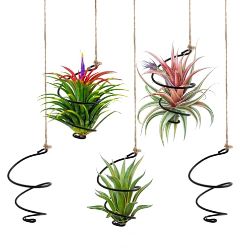 12-Pack Hanging Air Plant Holders,6 Air Plant Stand Display 6 Ropes | 6 Adjustable Rust-Resistant Iron Rings, with Low-Tangle Jute Ropes for Tillandsia, Succulents, Home & Office Decor