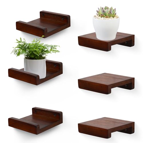 PHOENANCEE Small Floating Shelf,Mini Wall Shelves with Lip,Display Ledge,Speaker Shelf Set of 6 for Picture Frames Plants Decorative for Living Room Kitchen Bedroom,Wood,5 Inch,Walnut - color: Walnut, size: 5 Inch(6pcs)