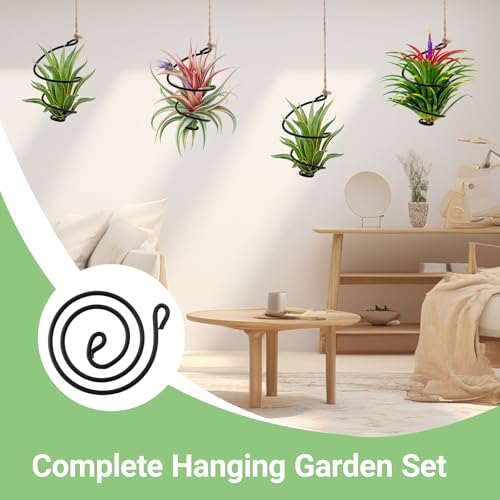12-Pack Hanging Air Plant Holders,6 Air Plant Stand Display 6 Ropes | 6 Adjustable Rust-Resistant Iron Rings, with Low-Tangle Jute Ropes for Tillandsia, Succulents, Home & Office Decor