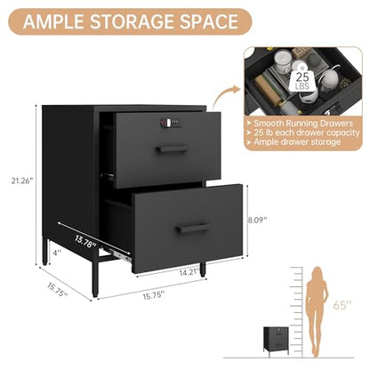 Steehoom Metal Nightstand,2 Drawer End Side Table Lockable Modern Locker Storage Cabinet for Living Room, Bedroom, Dorm, 21.26”H X 15.75”W X 15.75”D (2 Drawer, Black) - color: Black, style: 2 Drawer