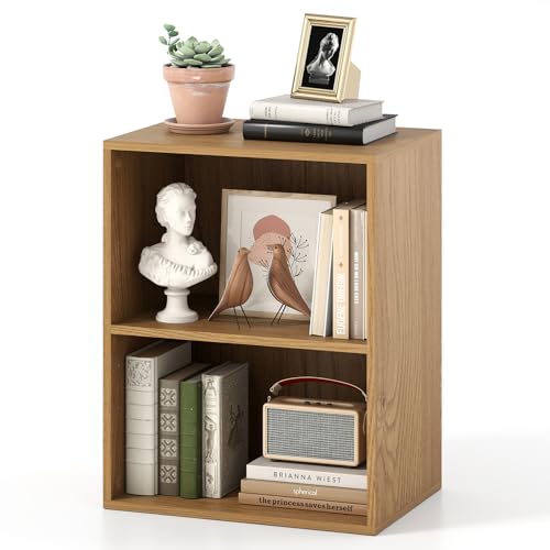 Giantex 2-Cube Bookshelf, 2-Layer Storage Shelf Bookcase w/Large-Capacity Open Storage Space for Living Room Bedroom Study Office, Multi-Functional Furniture Display Cabinet, Natural | Display Shelf with Open Storage Space for Living Room, Home Office, Mu