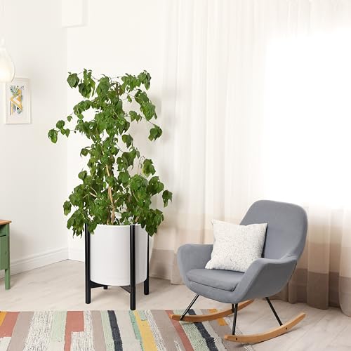 D'vine Dev Plastic Pot with Ebony Wood Stand, White, 16 in, 55-C-Z-1 | Mid-Century Inspired Design, Elevated Plant Display, Clean Lines, Sturdy Support, Modern Space-Saving Style - color: Matte White Pot + Ebony Stand, size: 16 Inch