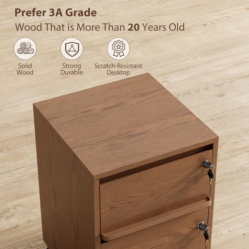 KungFuWood Wheeled Double-Drawer Filing Cabinet, Lockable Mobile File cabinets, Suitable for Home Offices or Storage cupboards for Storing Legal documents or Letter-Sized Files.