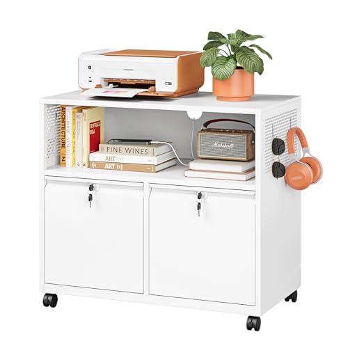 Metal File Cabinet,2 Drawer Lateral Filing Cabinet with Lock,Rolling Printer Stand Storage Cabinets with Shelves for Home Office Letter/Legal/A4 Size Files(White) - color: White, size: 31.5"W x 28"H x 17"D - B