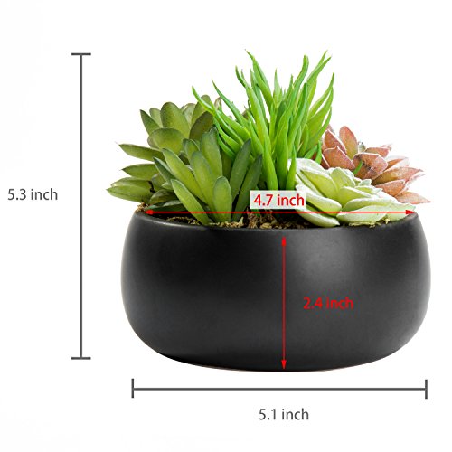 MyGift Mini Artificial Succulent in Pot, Fake Plant Arrangement in Black Ceramic Planter Bowl - color: Black