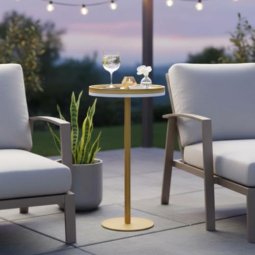 Martini Table, Small Round Drink Table with Weighted Base,Modern White & Gold Pedestal End Table with Tray Top Edge for Small Spaces, Living Room, Next to Sofa,24.7 "Tall - color: White + Gold