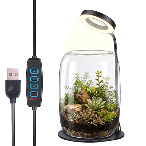 5X Aperture Grow Light for Indoor Plants, Full Spectrum Mini Desk Plant Light with Glass Terrarium, Height Adjustable LED Grow Lamp for Succulents, Moss & Home Office Gift - size: 5X