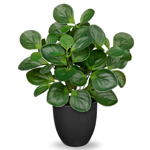 Villa Como 14.5" Artificial Plants Indoor Home Decor Faux Peperomia Plant | Silk Fake Potted Plants for Shelves Desks Living Room Office, Decorative Faux Potted Greenery Small Tropical House Plant - color: # Total Green