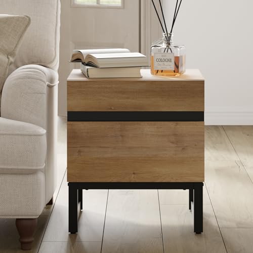 WAMPAT Modern End Table with 2 Drawers, Farmhouse Sofa Table with Black Square Iron Leg, Wood Rustic Side Table for Living Room, Nightstand for Bedroom, Oak, 17.7''L x 15.5''W x 19.8''H - color: Oak