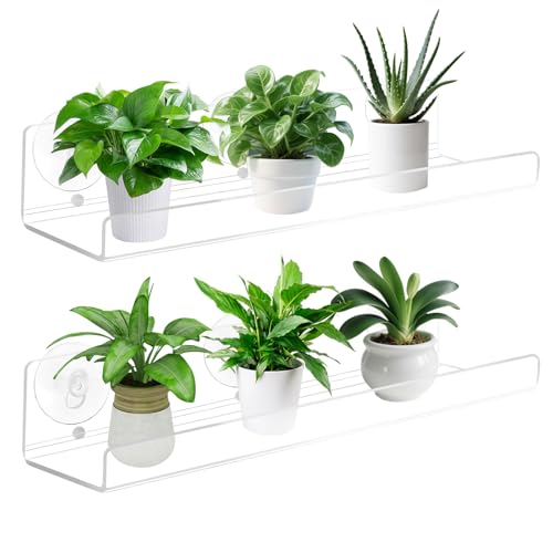 2 Pack Window Plant Shelves, 12 Inch Acrylic Suction Cup Shelves for Succulents, Herb Planters, Micro Greens, Bathroom Organizer, Display Stand & Cosmetics Storage