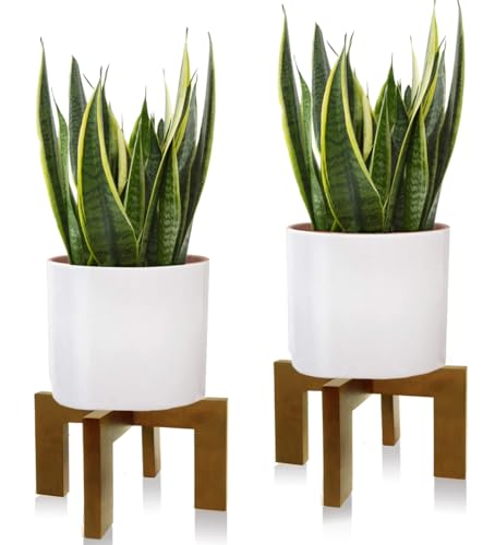 2 Pack Plant Stand Indoor Outdoor, Mid Century Plant Stand for Indoor Plants, Wood Modern Plant Holder Rattan Flower Plant stool, Low Short Boho Rustic Planter Stand, Fit 5-15 Inch Pot - color: 2 Pack Brown