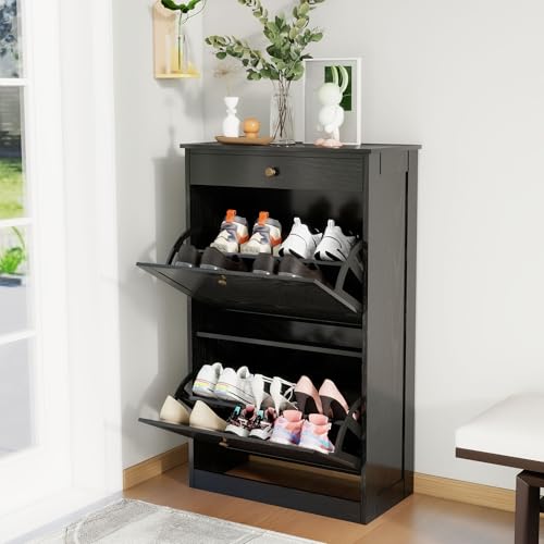 Shoe Storage Cabinet with 2 Flip Drawers, Shoe Cabinet Organizer, Black | Freestanding Hidden Shoe Rack Cabinet with Door, Pet-Proof Shoe Cabinet Storage for Entryway Living Room Behind The Door - color: Black, size: Medium