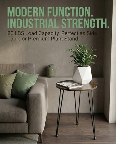17 Inch Tall Metal Plant Stand Indoor,Heavy Duty Flower Pot Holder with 11.5 Inch Modern Round Board Table,Sturdy Metal Tripod Design Side Table,Matte Black