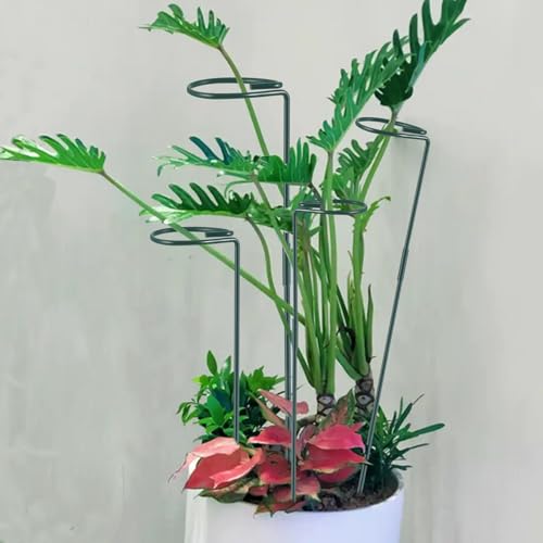 Plant Stake Support - 6 Pack Adjustable Height 12" or 24", Garden Support Stake Plant Cage Support Rings, Single Stem Plant Support Stakes, for Flowers Amaryllis Tomatoes Peony Lily Rose (24inch) - size: 24inch