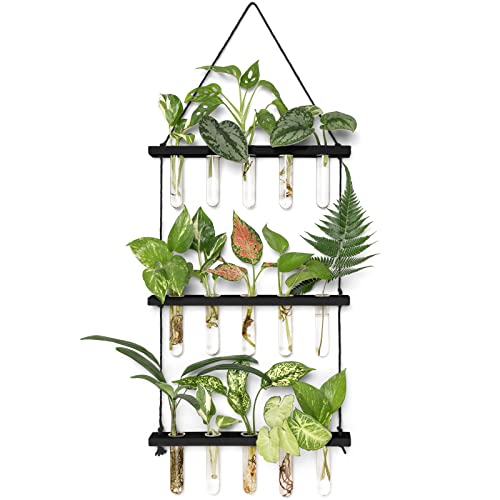 Mkono 3 Tiered Wall Hanging Plant Terrarium with Wooden Stand Mini Test Tube Flower Vase Glass Planter for Hydroponic Plant Cutting Home Garden Office Decor Gift - color: Black, size: Medium