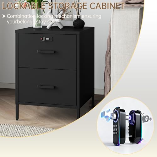 Steehoom Metal Nightstand,2 Drawer End Side Table Lockable Modern Locker Storage Cabinet for Living Room, Bedroom, Dorm, 21.26”H X 15.75”W X 15.75”D (2 Drawer, Black) - color: Black, style: 2 Drawer