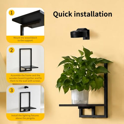 Wall Planters with Grow Lights, Set of 2 Indoor Hanging Shelves for Bedroom, Living Room, Bathroom, Kitchen, Entryway, Black (2, Black) - color: Black