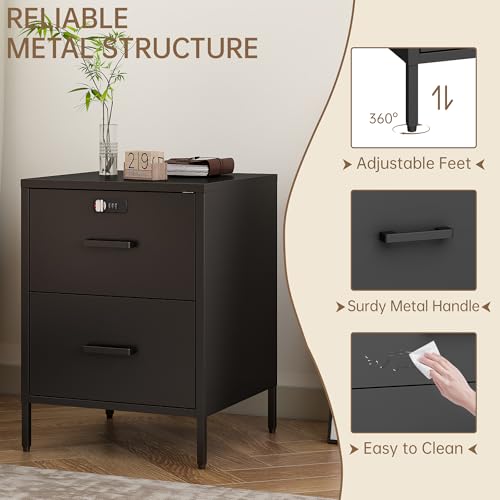 Steehoom Metal Nightstand,2 Drawer End Side Table Lockable Modern Locker Storage Cabinet for Living Room, Bedroom, Dorm, 21.26”H X 15.75”W X 15.75”D (2 Drawer, Black) - color: Black, style: 2 Drawer