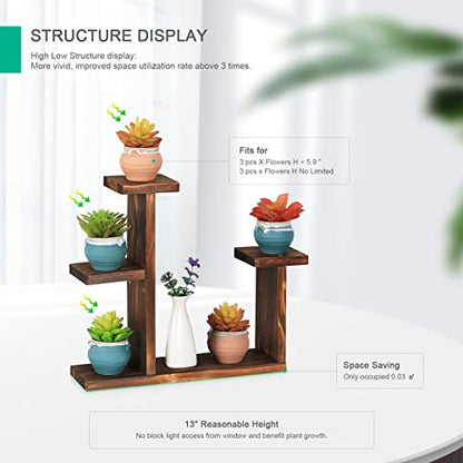 Wooden Tabletop Plant Stand - 5 Tier Succulent Plant Holder Decorative Planter Holder, Small Desktop Flower Pot Rack Shelf for Decoration Living Room Home Office Windowsill
