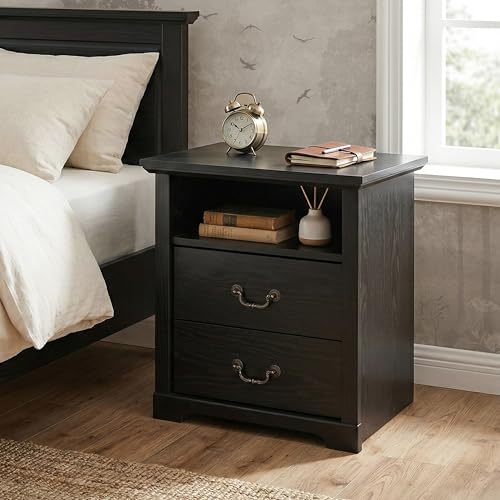 24/7 Shop at Home Elrik Modern 22-inch Wood Nightstand with Open Shelf, 2 Drawers and Ornate Handles, Wooden Night Stand for Bedroom, Apartment, Small Bedside Table, Black - color: Black