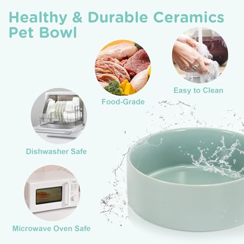 SPUNKYJUNKY Elevated Dog Bowls Ceramic, 5.1'' Dogs and Cat Food Water Bowls Raised with Non-Slip Bamboo Stand for Puppy Small Sized Breed Microwave Dishwasher Safe - 13.5 OZ,Light Green - color: Light Green, size: 5.1 in - 1.7 cups