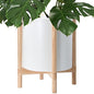 D'vine Dev Plastic Pot with Natural Wood Stand, White, 16 in, 55-C-Y-1 | Mid-Century Inspired Design, Elevated Plant Display, Clean Lines, Sturdy Support, Modern Space-Saving Style - color: Matte White Pot + Natural Stand, size: 16 Inch