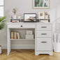 4 EVER WINNER White Desk with Drawers, 44 Inch Small Computer Desk with File Drawer and Monitor Stand, Wood Desk with Storage Shelf for Small Spaces, Living Room, Bedroom, White - color: Pure White