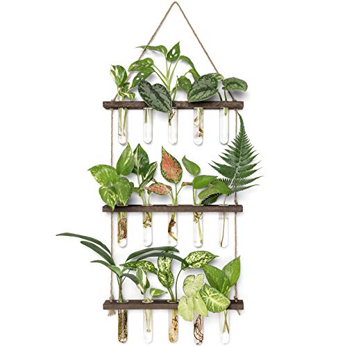 Mkono Plant Propagation Tubes, 3 Tiered Wall Hanging Terrarium with Wooden Stand Mini Test Tube Flower Vase Glass Planter Stations for Hydroponic Cutting Home Garden Office Decor Plant Lover Gift - color: Brown, size: Medium