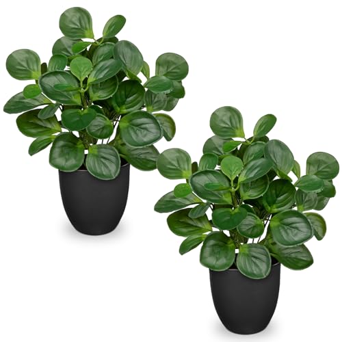 14.5" Artificial Plants Indoor Home Decor Set of 2 Faux Peperomia Plants | Silk Fake Potted Plants for Shelves Desks Living Room Office, Decorative Faux Potted Greenery Small Tropical House Plant - color: 2 Sets # Total Green