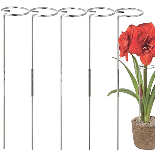 30 Inch Or 16 InchPlant Stakes for Flowers - 5 Pack, Adjustable Height | Stainless Steel Garden Tall Single Stem Support Stake Plant Cage Support Rings Fit Flowers, Plant Stable - color: Silvery-5