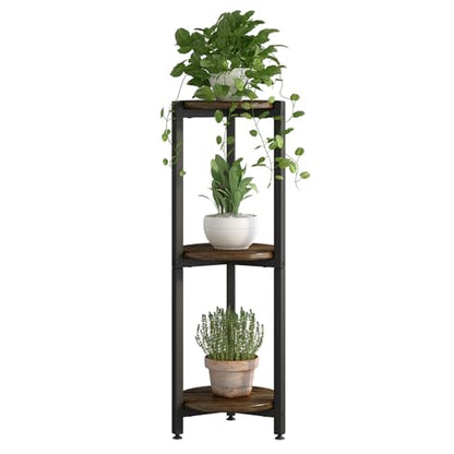 Plant Stand Indoor Corner Tall 3 Tier Metal Modern Flower Storage Plant Shelf Holder for Living Room Balcony Garden,Black (3 Tier-Black Round)