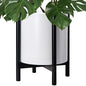 D'vine Dev Plastic Pot with Ebony Wood Stand, White, 16 in, 55-C-Z-1 | Mid-Century Inspired Design, Elevated Plant Display, Clean Lines, Sturdy Support, Modern Space-Saving Style - color: Matte White Pot + Ebony Stand, size: 16 Inch