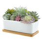 MyGift Assorted Artificial Succulent Plant Arrangement Potted in White Ceramic Planter Pot with Removable Bamboo Tray - color: White Ceramic & Bamboo