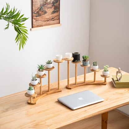 5 Tiers Desk Plant Stand Window Sill Plant Shelf Tabletop Succulent Stand Flower Pot Stand Holder Desktop Plant Stand Indoor Plant Rack for Succulent Herb in Living Room Office (Circle) - size: Circle