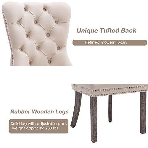 KCC Velvet Dining Chairs Set of 4, Upholstered High-end Tufted Dining Room Chair with Nailhead Back Ring Pull Trim Solid Wood Legs, Nikki Collection Modern Style for Kitchen, Beige - color: Beige, size: Set of 4