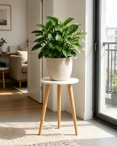Bamworld Tall Plant Stand Indoor Wood Plant Table | Flower Stand for Large Plants Single Plant Stool for Bedroom Living Room Home Office White - color: White Tall Previous Version