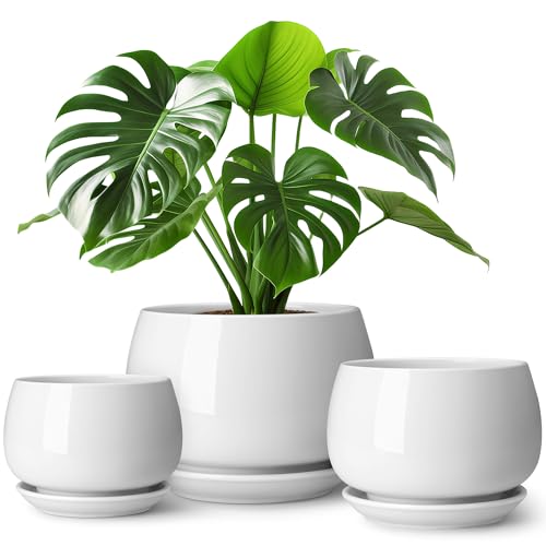 vancasso 3-Pack Ceramic Plant Pots, 7.3/9.6/11.6 Inch Indoor Planters with Saucers & Drainage Hole Planter pots for Indoor Plants and Flower, White - color: White, size: Large-3pcs/Set