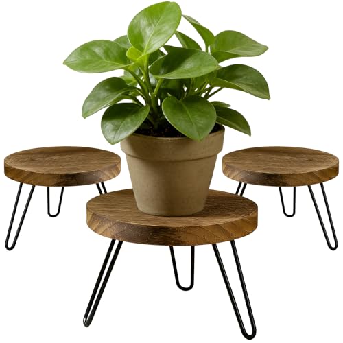 ROSSNY Small Indoor Plant Stand Stool: Fits for Under 10" Wide Pot - Wooden Plant Stool - Single Tier Short Round Plant Stool - Mid-century Modern Style for Indoor Outdoor Home Garden Décor, Dark Brown, 3 Pack (Without Pot) - size: 10'' Width-3 Pack