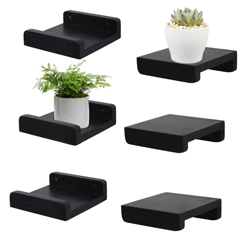 PHOENANCEE Small Floating Shelf,Mini Wall Shelves with Lip,Display Ledge,Speaker Shelf Set of 6 for Picture Frames Plants Decorative for Living Room Kitchen Bedroom,Wood,5 Inch,Black - color: Black, size: 5 Inch(6pcs)
