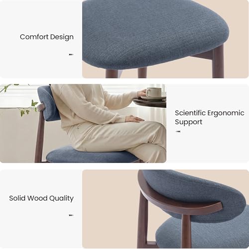 COLAMY Mid-Century Modern Wooden Dining Chair Set of 2, Indoor Upholstered Kitchen Chairs with 2.6" Cozy Padded Seat, Walnut Finish Side Dining Chair, [Blue] - color: Blue, size: 2 Chairs