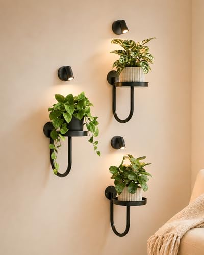 Bamworld Wall Decor Plant Stand with Lights Wall Art Planters Window Plant Hanger Indoor Hanging Planters for Indoor Plants for Living Room Black