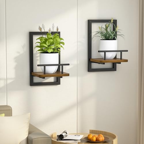 2-Pack Floating Shelves for Indoor Plants, Wall Mounted Storage Shelves for Bedroom, Living Room, Kitchen, Office, Bathroom Decor