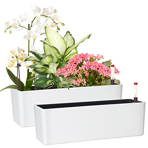 Elongated Self Watering Planter Pots 2-Pack Window Box 5.5 x 16 inch Indoor Home Garden Modern Decorative Planter Pot for All House Plants Flowers Herbs (White,2) - color: White(16''x 5.5'')