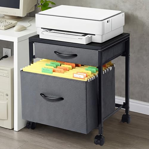 AceOrbit Back to School Rolling File Cabinet Mobile Printer Stand 2 Drawer Classroom Organization Cart A4 Letter Size Beside Vertical Filing Cabinet on Lockable Wheel Under Desk Storage(Gray) - color: Grey