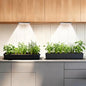 Dual Head Under Shelf Grow Light, Stick On LED Shelf Plant Light with Timer | Dual Head Under Cabinet Grow Light, Full Spectrum 3500K High PPFD LED for Plant Stands, Shelves & Multi-Plant Coverage - size: 2 Head 1 Pack Plus