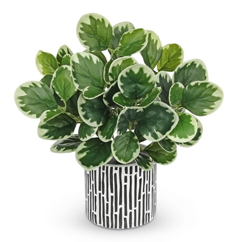 Villa Como 13" Artificial Plants Indoor Small Fake Plant in Ceramic Pot | Silk Plants for Home Decor Indoor, Faux Potted Plant for Shelves Desks Office Bedroom Farmhouse Entryway Tabletop Decor - color: #Green #3