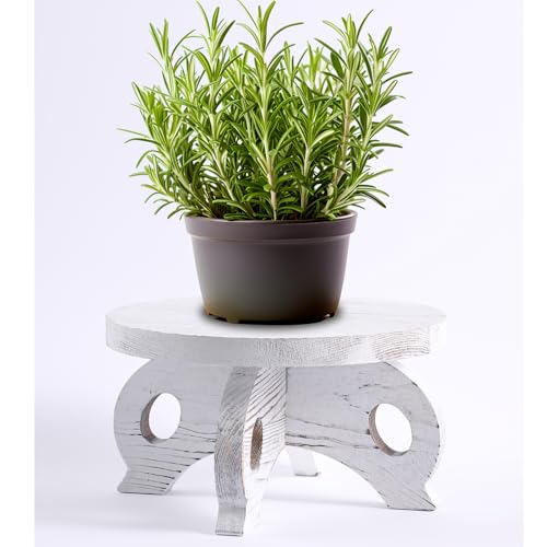 White Wooden Plant Stands Indoor Riser Round Display Stands Farmhouse Display Stool Flower Holder Pedestal Board Pine - color: White, size: Pine