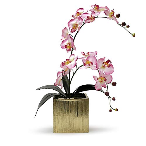WGV Ceramic Cube Vase Width 4" Height 4" (Fits 3" Pot) Elegant Modern Block Square Floral Planter Terrarium Container Table Dresser for Event Accent Home Office Decor Gold Textured 1 Piece