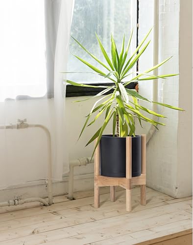 D'vine Dev Plastic Pot with Natural Wood Stand, Black, 8 in, 55-C-J-2 | Mid-Century Inspired Design, Elevated Plant Display, Clean Lines, Sturdy Support, Modern Space-Saving Style - color: Matte Black Pot + Natural Stand, size: 8 Inch