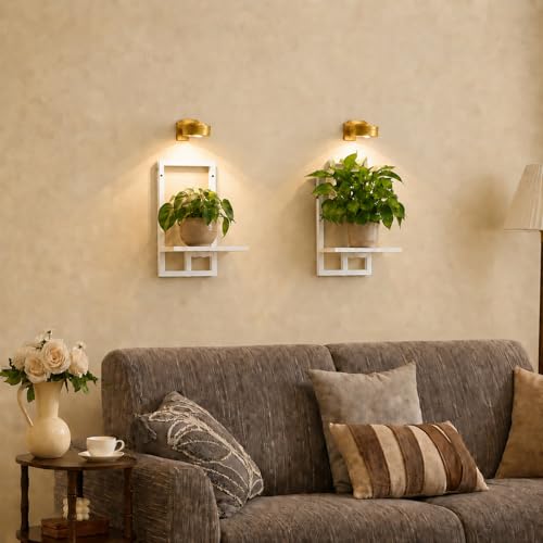 Wall Plant Holder with Grow Lights Set of 2 for Indoor Outdoor, Floating Flower Display Stand for Living Room, Bedroom, Bathroom, Kitchen, Entryway, White (2, White) - color: White